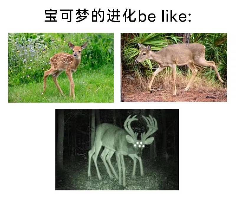 via 8号沙雕网友
