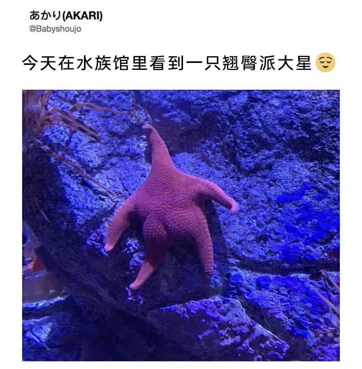 via 7号沙雕网友