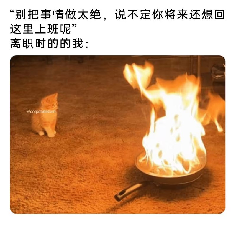 via 6号沙雕网友
