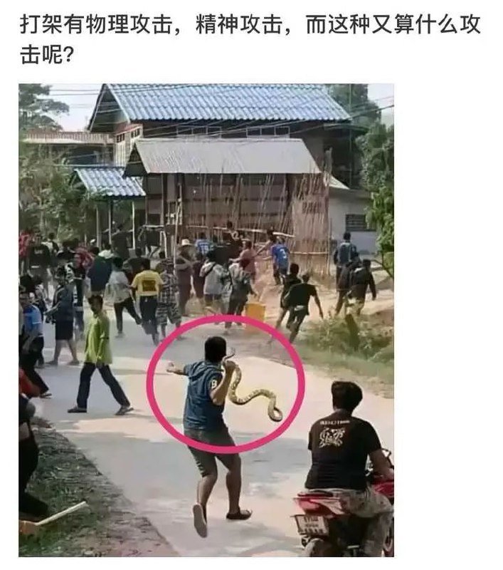 基于Python的服务端攻击from 车速过快🚦开车娱乐搞笑沙雕 via mole
