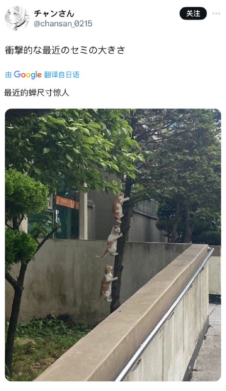 from 平壤卫视 via DECADEfrom 平壤卫视 via DECADE