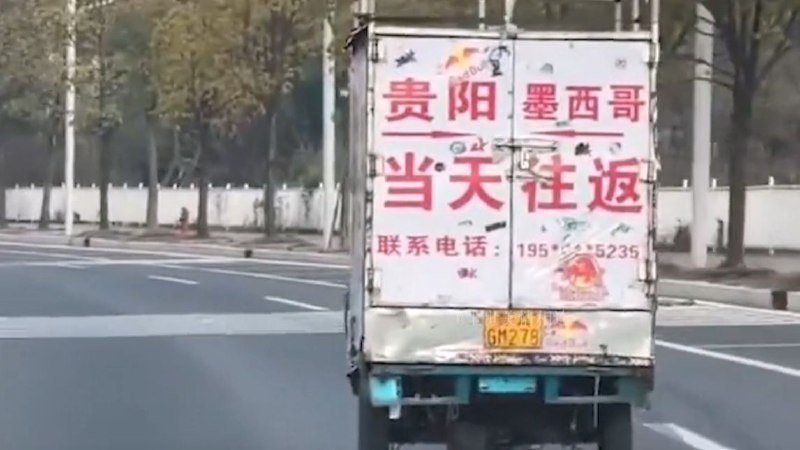 这么厉害吗？🤣