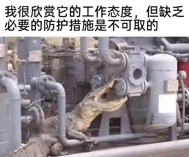 via 8号沙雕网友