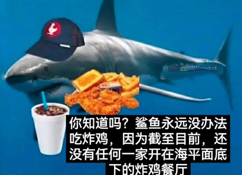 via 犯罪嫌疑人张某