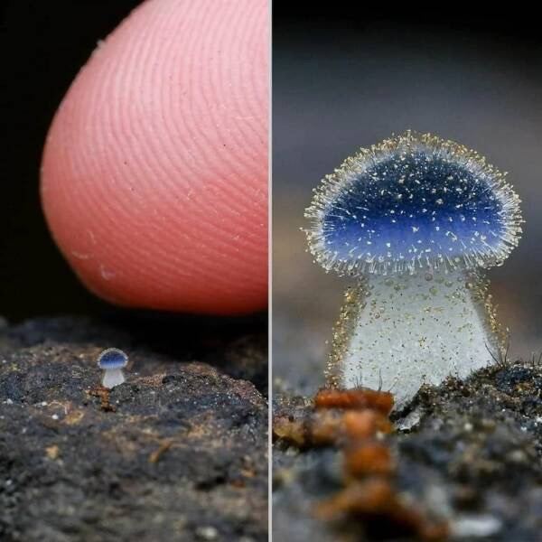 是菇菇via 提肛提醒小助手 今天你提了嘛