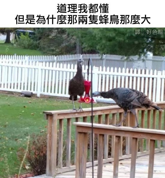 via 6号沙雕网友