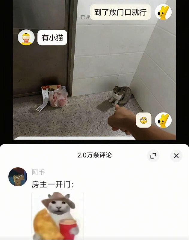 from 什麼都來點 via DECADE