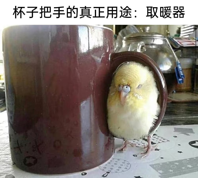 via 7号沙雕网友