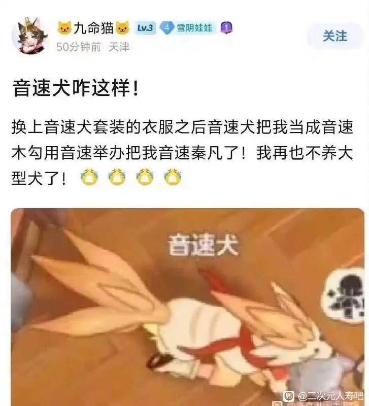 via 犯罪嫌疑人张某