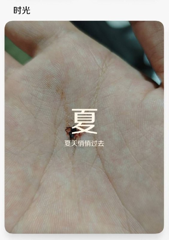 夏日时光