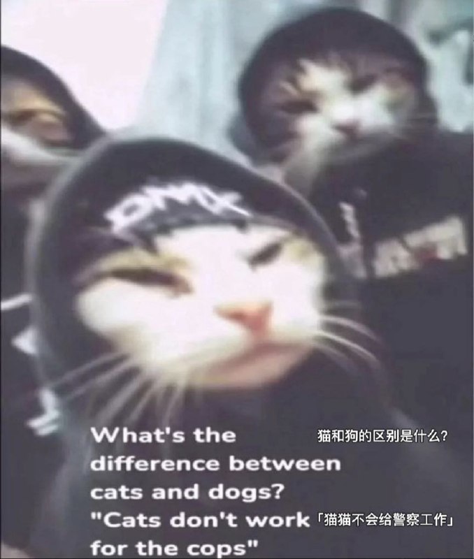 十六夜月华
