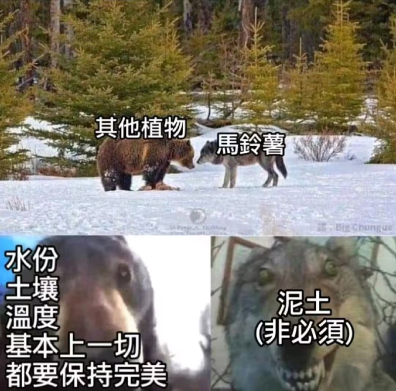 via 7号沙雕网友