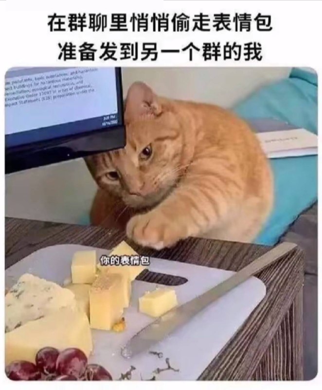 via 犯罪嫌疑人张某