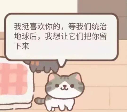 猫猫能有什么坏心思呢来源
