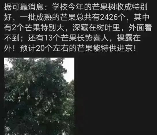 还挺抽象from 洛希极限 via Gary です还挺抽象from 洛希极限 via Gary です