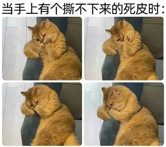 via 6号沙雕网友