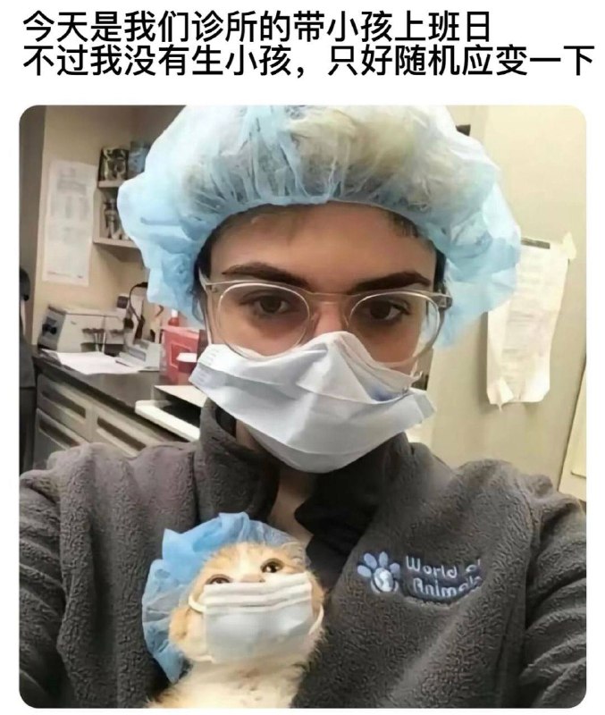 via 犯罪嫌疑人张某
