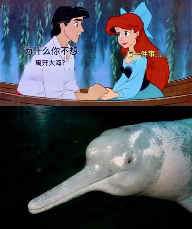 via 7号沙雕网友