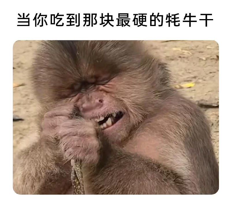 via 7号沙雕网友