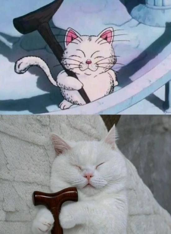 via 7号沙雕网友