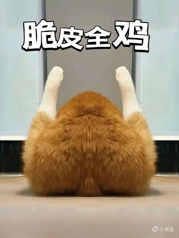 做饭from 满穗 via 满穗の投稿用号做饭from 满穗 via 满穗の投稿用号