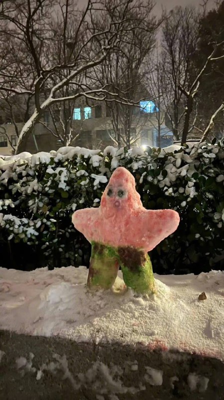 雪人 ⛄️ 冬天的模样雪人 ⛄️ 冬天的模样