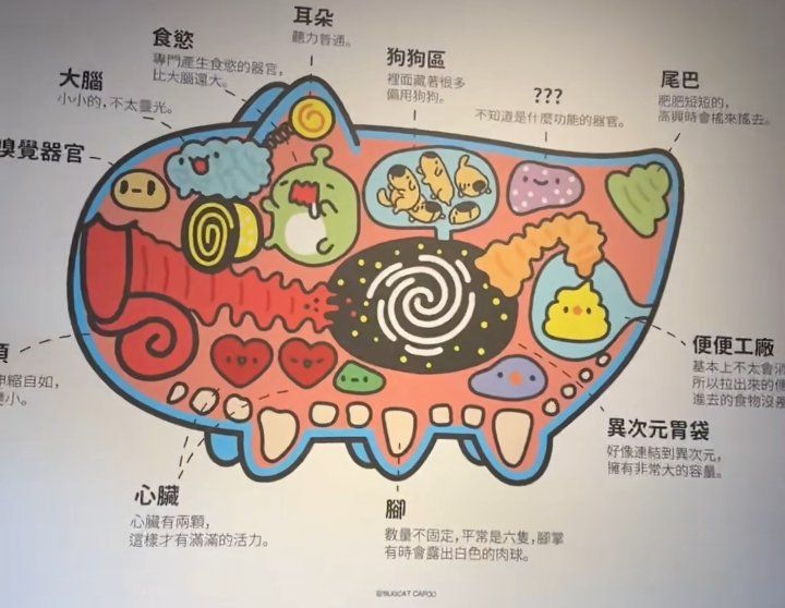 via 喵