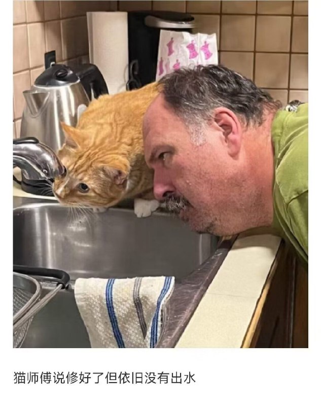 from 猫猫窝🐱