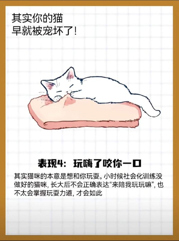 from 猫猫窝🐈🐈‍⬛from 猫猫窝🐈🐈‍⬛