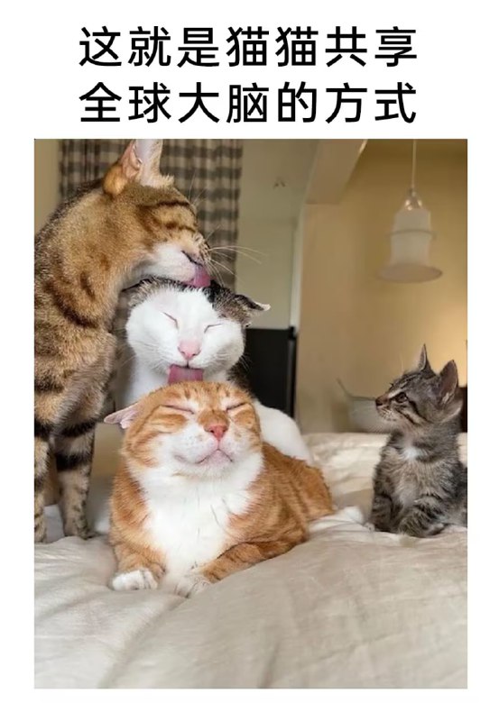 via 7号沙雕网友