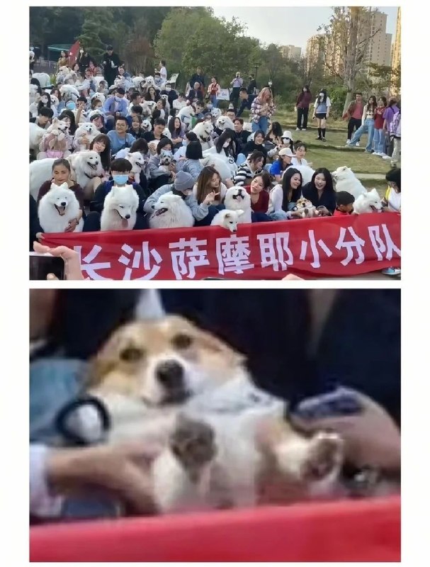 looooook
