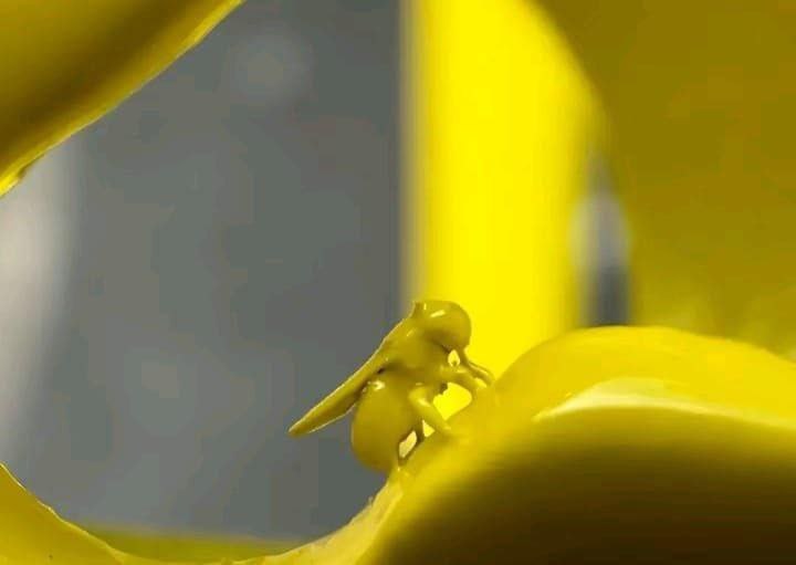 至此，已成艺术至此，已成艺术