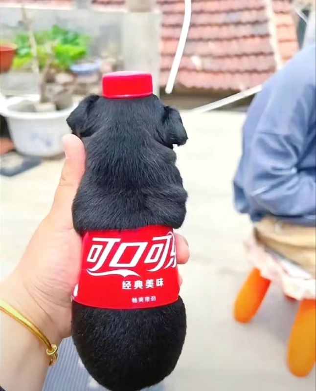 from 最爱兽耳 の虫