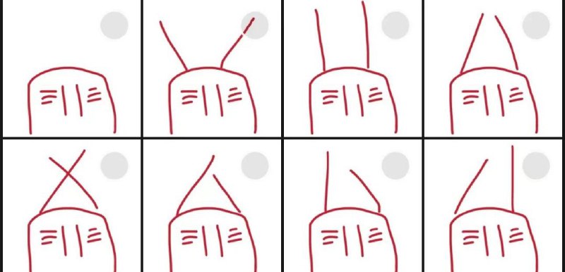 南方大蟑螂南方大蟑螂