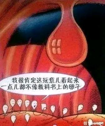 via LDLD 果冻via LDLD 果冻
