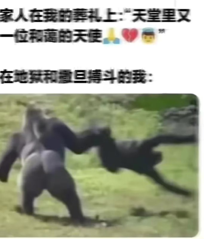 via 7号沙雕网友