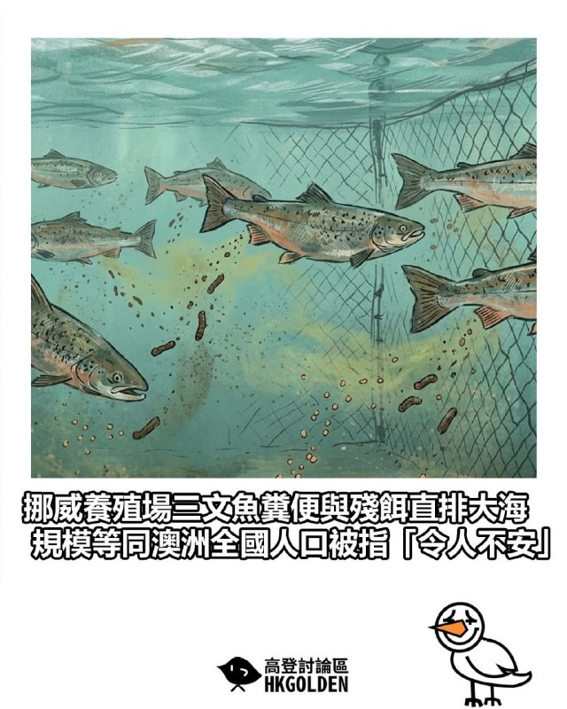 現在連魚在海裡拉屎都有罪嗎💩from 什麼都來點 via DECADE