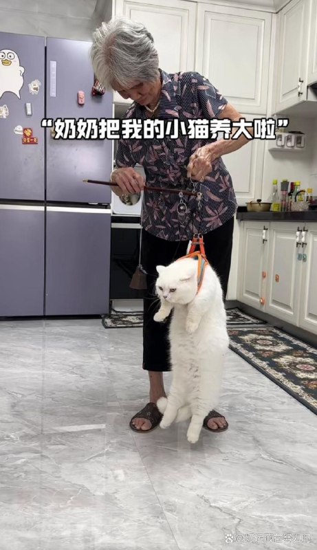 from 💈就在这理发店💈from 💈就在这理发店💈