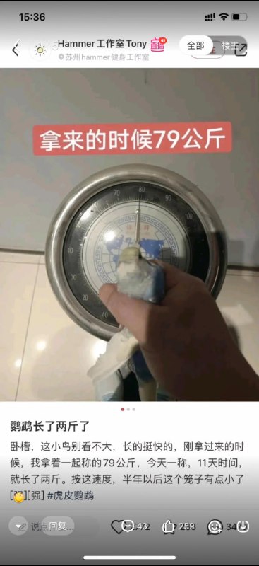 😅from 平壤卫视😅from 平壤卫视