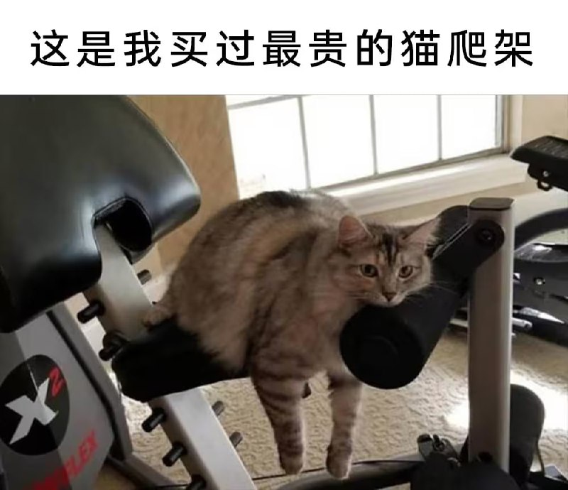 via 7号沙雕网友