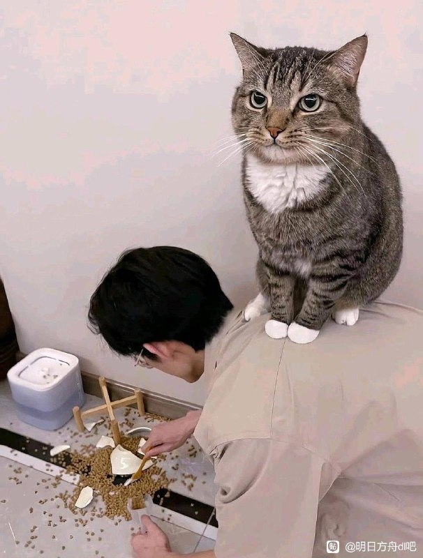 from Anzu什么都发 via Anzu Mayoifrom Anzu什么都发 via Anzu Mayoi