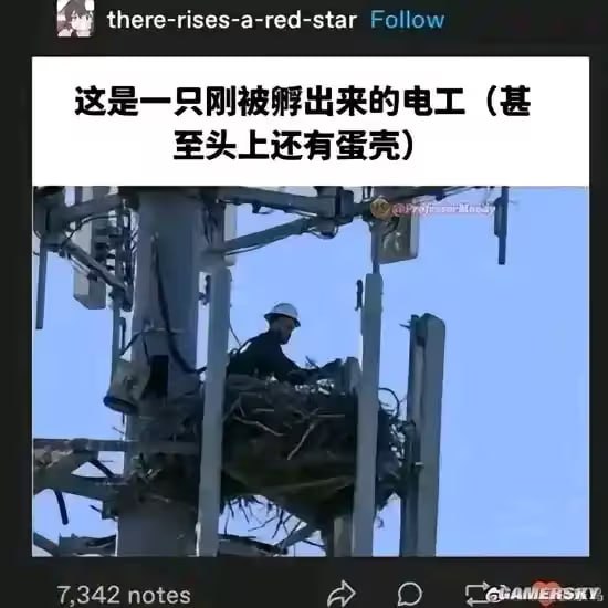 via 7号沙雕网友