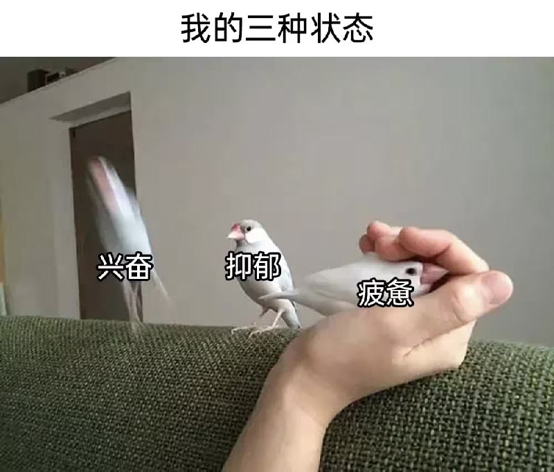 via 8号沙雕网友
