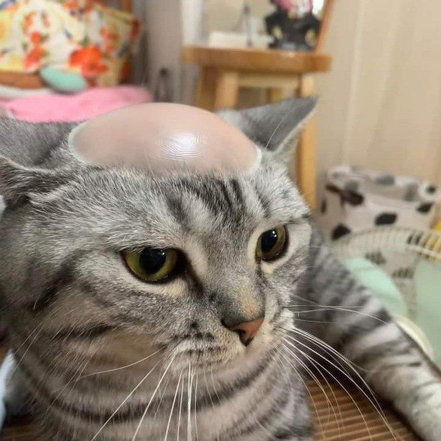 我看到了我的未来~😒😒