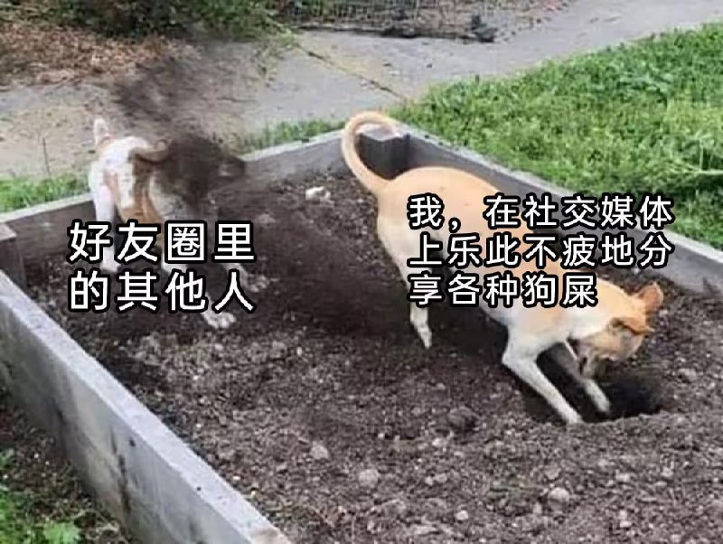 via 7号沙雕网友