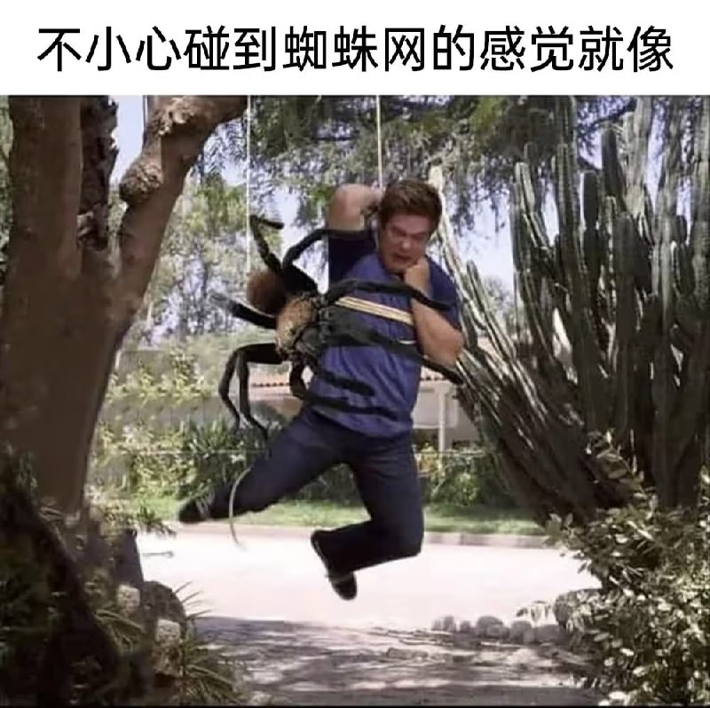via 8号沙雕网友