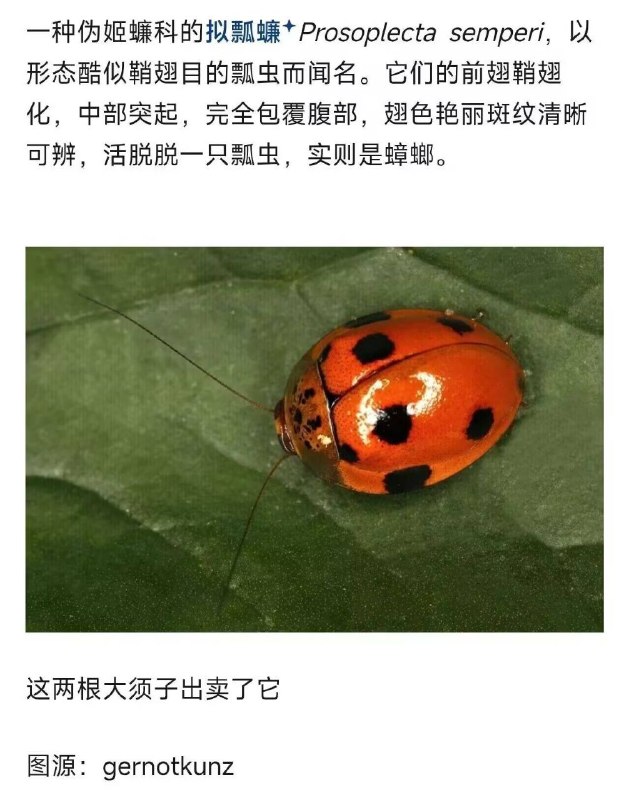 from 廣告狗死媽 via DECADE