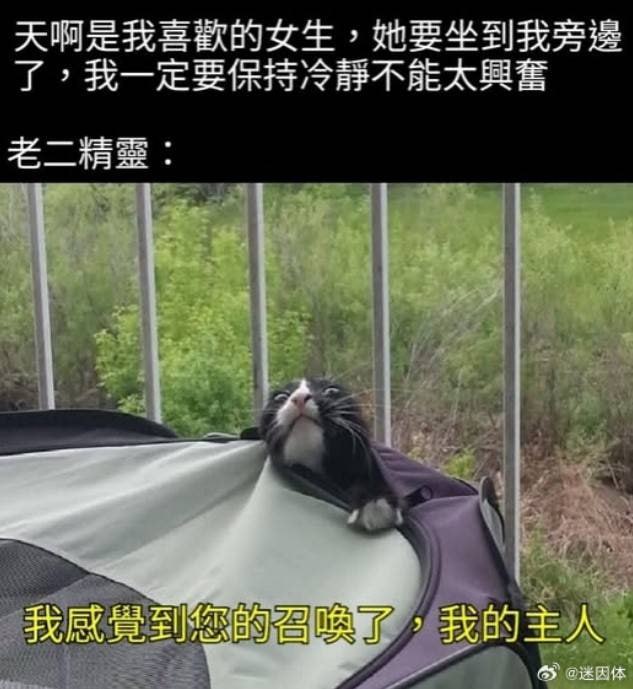via 7号沙雕网友