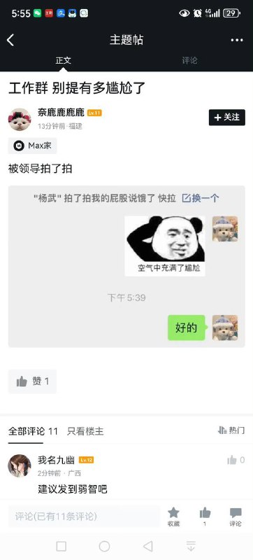 from 平壤卫视