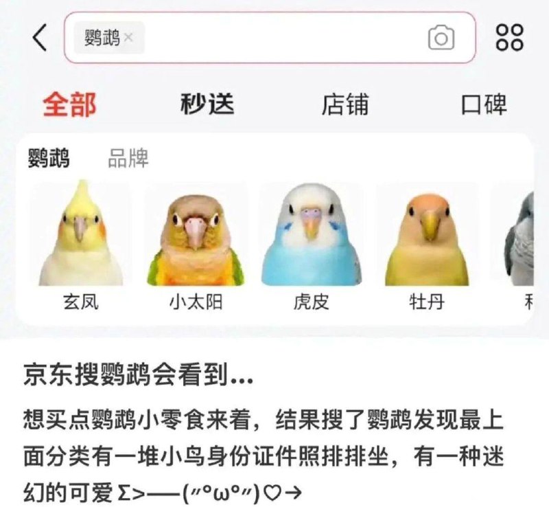 via 犯罪嫌疑人张某